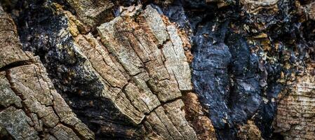 old cracked wood with visible details. background photo