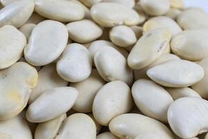 grains of white beans with visible details photo