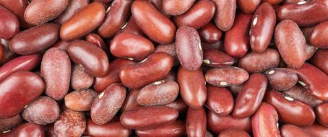 red beans with visible details. background or texture photo