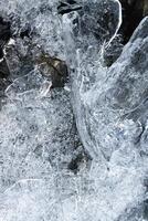 ice with visible details and interesting texture photo