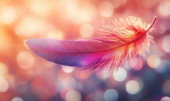 A feather is shown in a blurry background photo