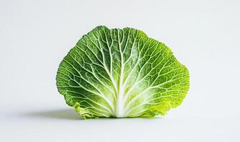 A leaf of lettuce is shown on a white background photo