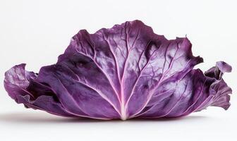 a purple cabbage is shown on a white background closeup photo