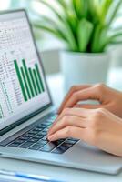 Data analysis in progress on a laptop showcasing graphs and statistics at a bright workspace with greenery photo