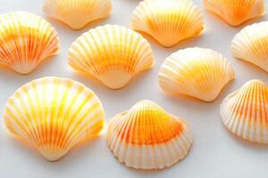 Collection of delicate orange seashells showcasing intricate patterns and soft lighting on a gray surface evokes a serene coastal ambiance photo