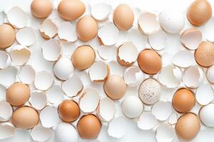 Cracked eggshells arranged in an abstract pattern on a white surface creating a modern food concept with soft shadows and neutral tones photo