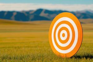 Bold orange and white concentric circles on a classic archery target in a grassy field under a clear blue sky photo