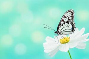 Butterfly rests gently on a fresh spring flower in a dreamy, soft-focus background with a fairytale atmosphere photo