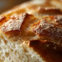 A crusty sourdough bread with a soft, airy interior and a deep, rich flavor. Made with natural fermentation, it's perfect for toasting, dipping, or pairing with soups and cheese photo