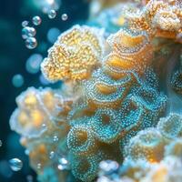 Extreme close-up of brain corals textured surface with organic grooves and patterns. The image highlights marine lifes intricate structures, showcasing underwater biodiversity photo