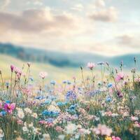 An open field covered in colorful flowers, spreading across the gentle slopes of the countryside. The vibrant petals contrast with the lush green grass, creating a seasonal landscape photo