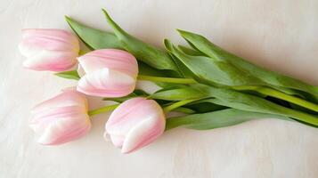 Beautiful tulips in a perfect arrangement on a soft background showcasing nature's elegance and simplicity photo