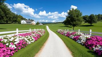 Long dirt road lined with vibrant flowers leading to a charming country house under a blue sky photo