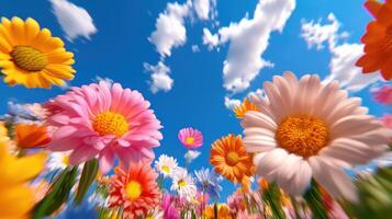 Gentle breeze rustles through vibrant flowers under a clear blue sky in a sunlit field of wild blossoms photo