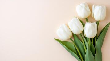 Elegant minimalist flat lay featuring six pristine white tulips arranged on a soft background photo