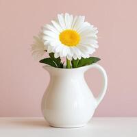 Minimalistic still life featuring a single daisy in a white pitcher against a soft pink background photo