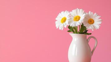 Elegant daisy arrangement in a white jug against a soft pink background for a cheerful atmosphere photo