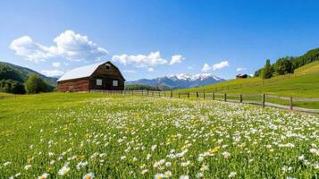 Rustic barn surrounded by wildflowers and mountains under a clear blue sky photo