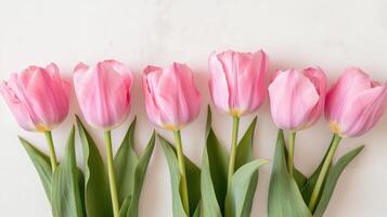 Row of six pink tulips placed neatly against a light background showcasing their beauty and elegance in springtime photo