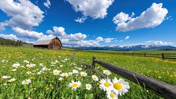 Rustic barn surrounded by sprawling meadows and wildflowers under a clear blue sky with mountains in the background photo