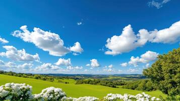 Scenic view of rolling hills and clusters of flowers under a vibrant blue sky with fluffy clouds photo