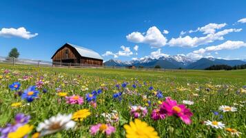 Rustic barn surrounded by wildflowers beneath a bright blue sky with mountains in the background photo
