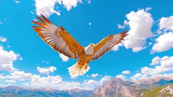 Soaring eagle gliding over a vast mountain range under a bright sky filled with clouds photo