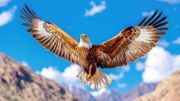Majestic eagle soars high above a stunning mountain range with expansive wings spread wide under a clear blue sky photo