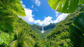 Tranquil rainforest with misty trees and a stunning waterfall surrounded by lush greenery photo