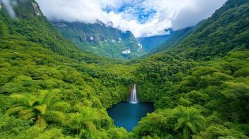 Tranquil rainforest with misty trees and a waterfall surrounded by lush greenery in a serene landscape photo