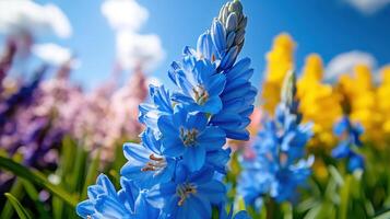 Artistic macro shot of a bluebell flower swaying in the gentle breeze under a clear sky photo