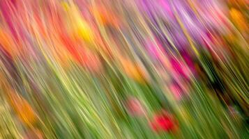 Vibrant wildflowers dance in a wind-swept meadow during a sunny afternoon photo