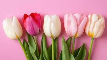 Vibrant tulips arranged in a straight line on a soft pink background showcasing nature's beauty photo