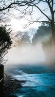 A foggy road with trees on either side, the fog is thick and obscures the view, the road is wet and reflects the light photo