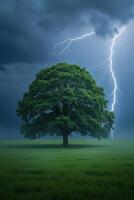 A green tree in a green field with a lightning strike in a cloudy sky, nature photography, dramatic lighting, storm background photo