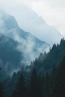 Mountain landscape with dense forest and fog, creating a misty atmosphere, with the peaks fading into the distance - scene 01 photo