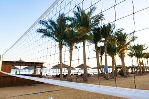 Volleyball net stands on sandy beach with palm trees and distant umbrellas during sunset photo