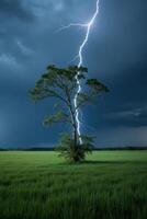 A tree struck by lightning in the middle of a green field under a dark cloudy sky photo
