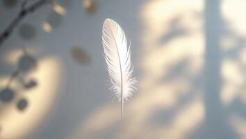 Delicate white feather suspended against a softly lit background with shadows in a serene indoor setting photo