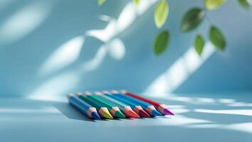 Colorful pencils arranged in a row with soft shadows and green leaves in a bright indoor setting photo