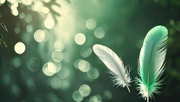 Colorful feathers gently float against a blurred green background with soft light during a calm afternoon photo