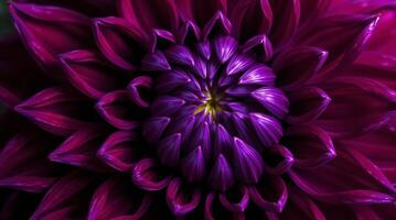 A close up of a purple flower 57789338 Stock Photo at Vecteezy