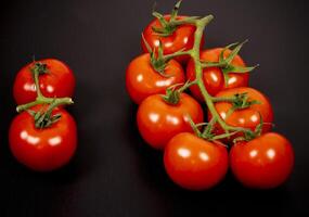 Fresh red tomatoes arranged on a dark background with a branch photo