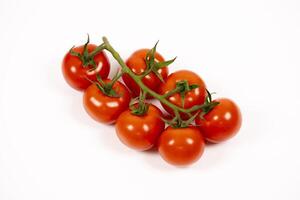 Fresh vine-ripened tomatoes on a white background ready for culinary use photo
