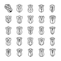Vegetables icon set vector