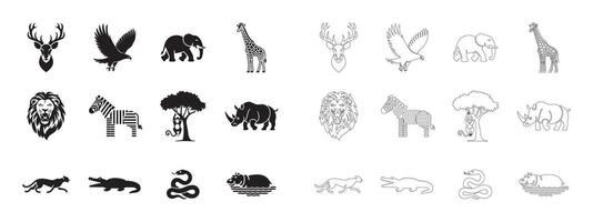 Essential Safari and Wildlife Icons in a Sleek Outline Style vector