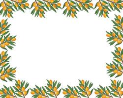 Decorative sea buckthorn banner with branches, berries, and leaves. Fruit template with sea buckthorn branches, square background. vector