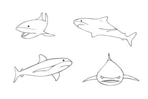 Set of hand drawn shark in different positions. Doodle style outline illustration. vector