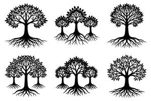 Silhouettes of Various Trees with Roots vector