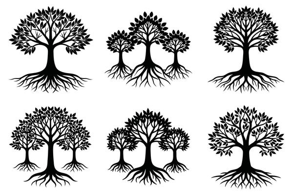 Silhouettes of Various Trees with Roots